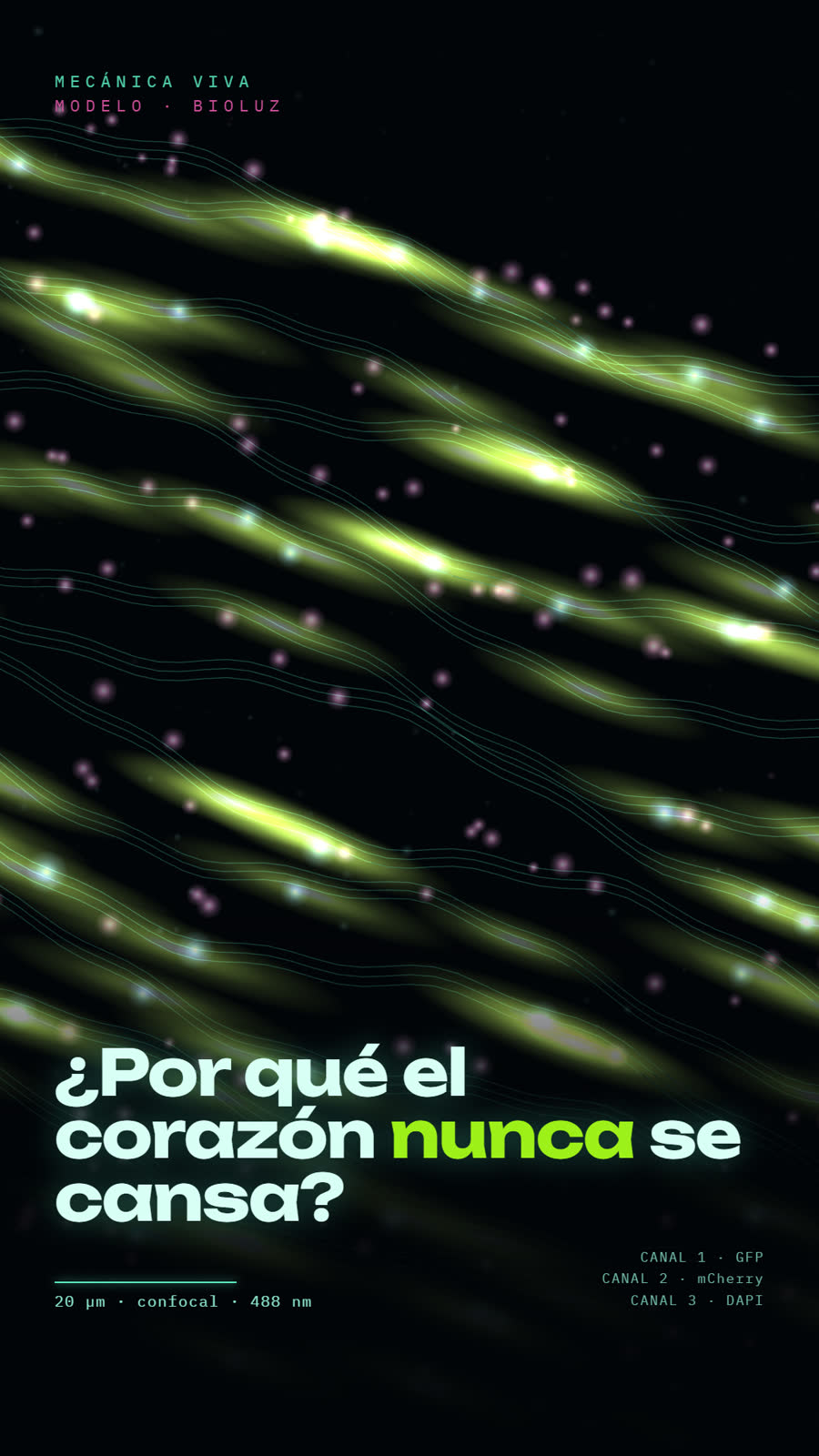 Bioluz